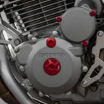 Tapones de Encendido 30mm - Imagen 2